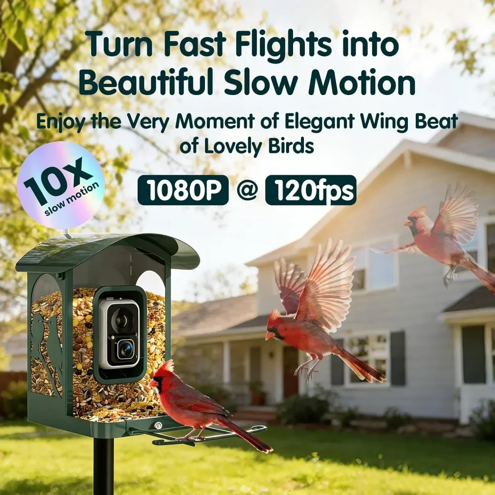 WiFiスマートペットフィーダー カメラ付き 1080P H - Smart Pet Feeder Camera 1080P Wifi のレビューと価格