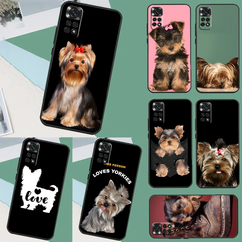 Yorkshire Terrier D… - image