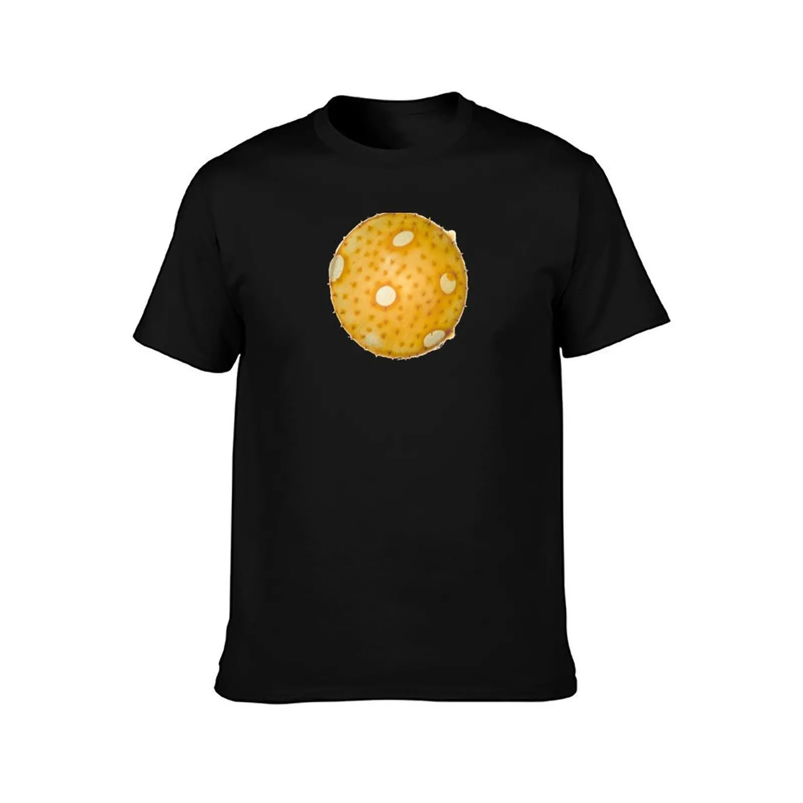 Summer squash pollen grain under the microscope T-Shirt Casual Loose Short Sleeve Tee for Men T-Shirt
