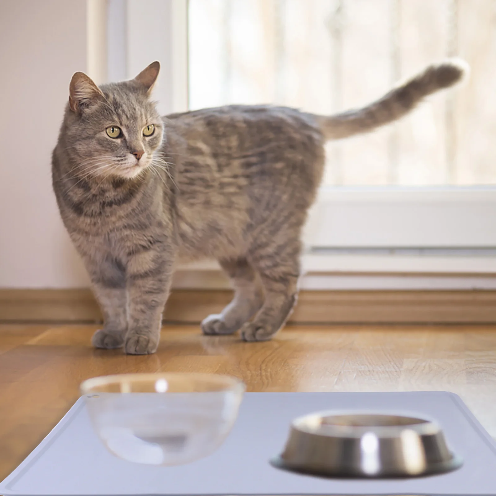 

Heart Shape Silicone Food Mat Waterproof Anti-Skid Flexible Pet Feeding Mat Pet Supplies Placemat for Placemat