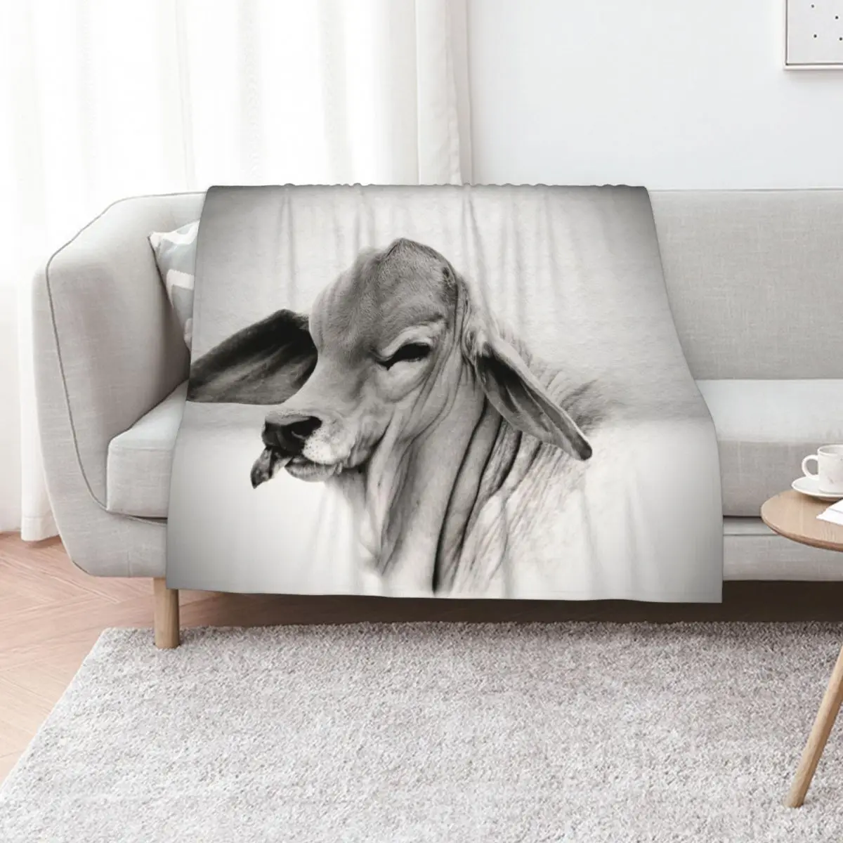 برهمان العجل، صورة، جدار الفن رمي بطانية المرجحة الطفل المعزي المانجا البطانيات