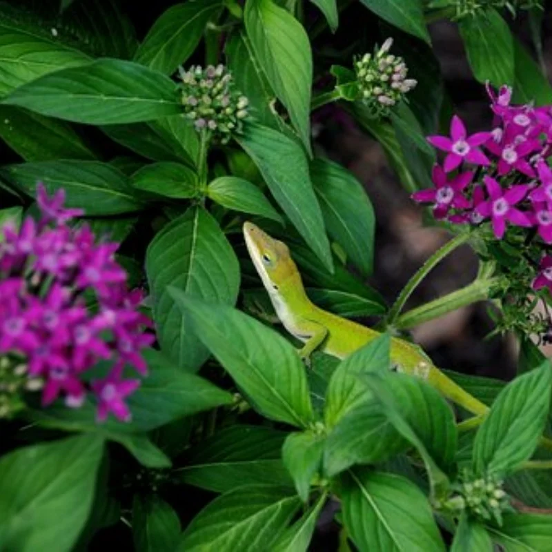 Zestaw synchronizatorów przekładni stożkowej do silnika, do modeli ciężarówek i przyczep Tamiya w skali 1/14, części do tuningu.