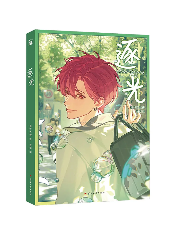 Book-Winshare Chasing Light Comic