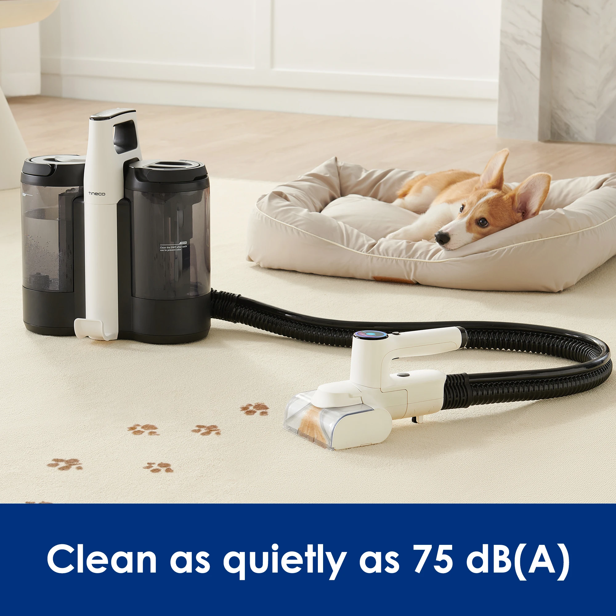 Tineco-limpiador de alfombras inalámbrico inteligente One Spot Essentials, aspirador ligero, pantalla LED