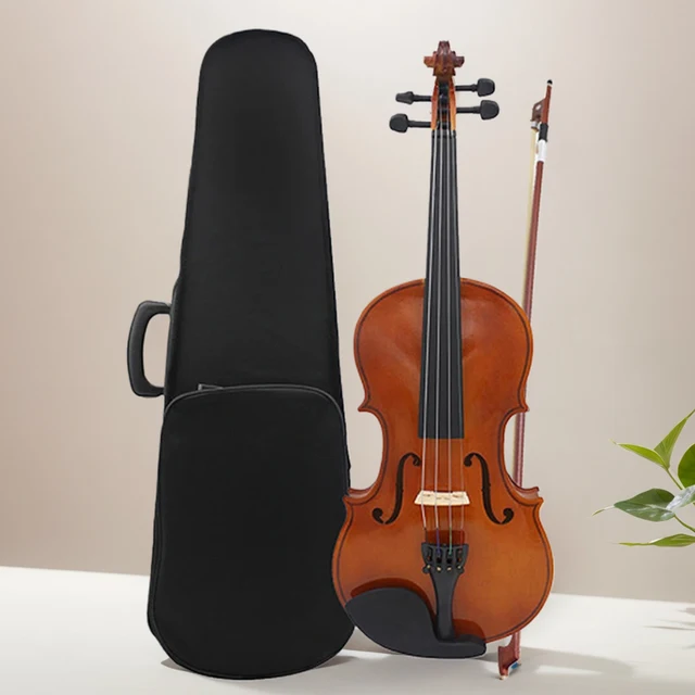 Violin 4/4 Full Size Kit with Case Bow Extra Strings Rosin