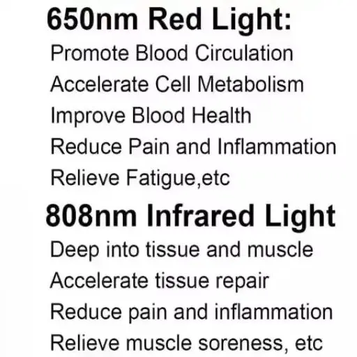 Vet Cold Laser Therapy Device 650nm 808nm LLLT for Dogs Cats Horses Pain Relief Itching Skin Treatment Portable