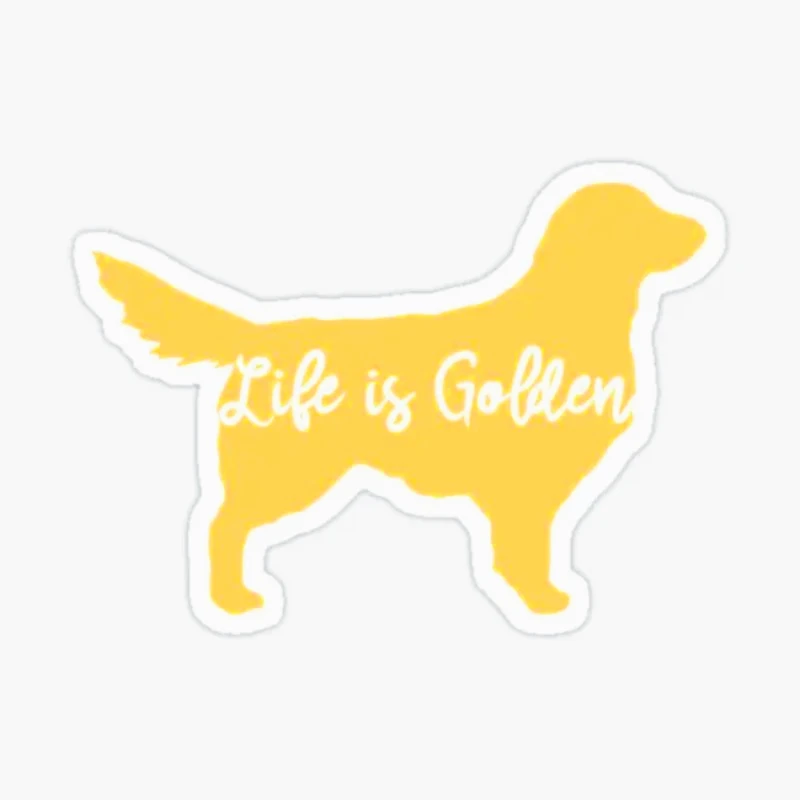 

Жизнь — золотой домашний декор для детей, забавный багаж, милые бутылки с водой, украшения, настенный аниме-бампер, окно комнаты, 15 см, ПВХ KK