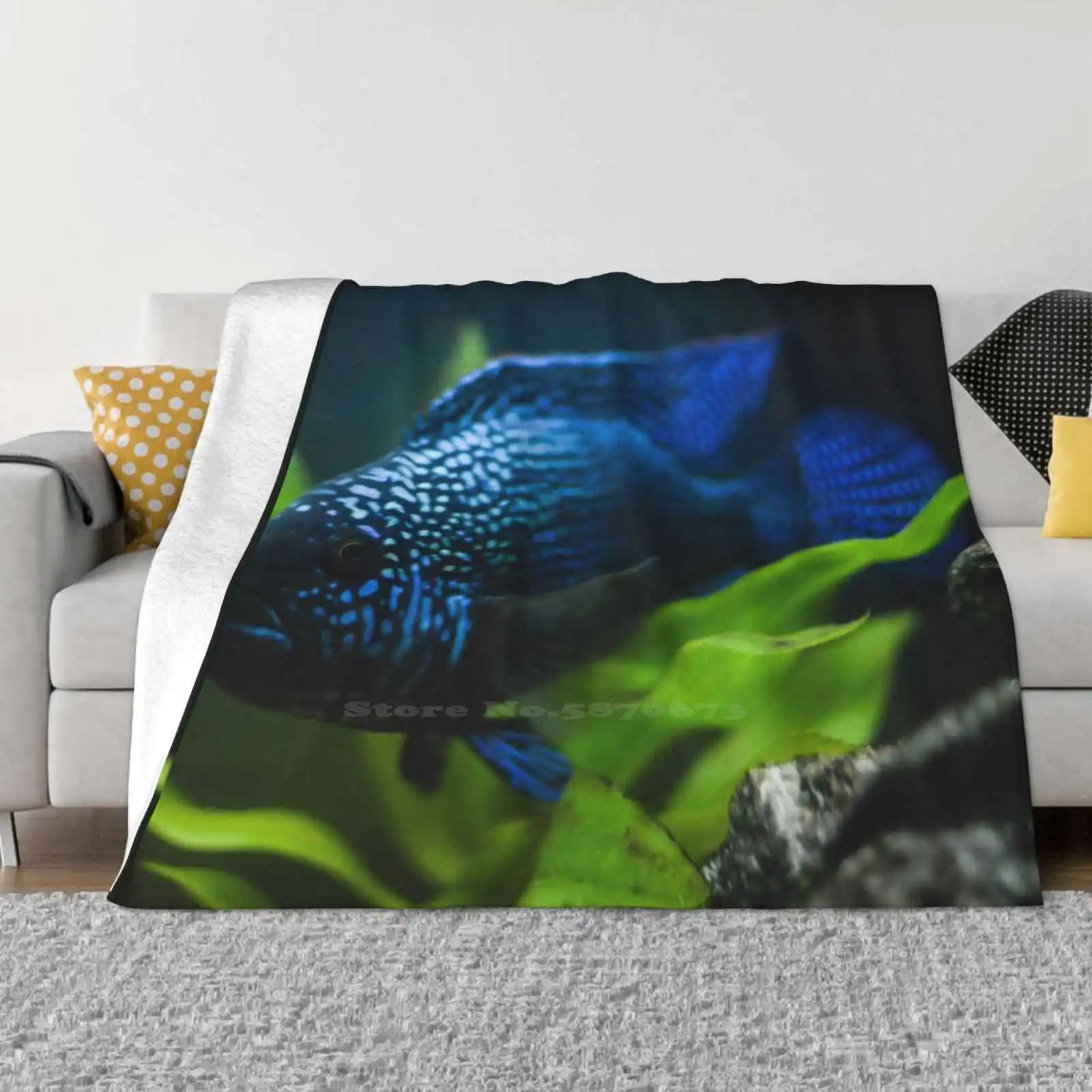 Jack Dempsey Cichlid Super Warm Soft Blankets Throw On Sofa/Bed/Travel Jack Dempsey Cichlid South American Fish Aquarium