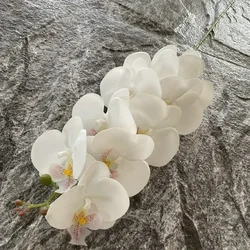 5Pc Faux Real Touch Butterfly Orchid Fake Flowers 9Head Phalaenopsis Wedding Flower Arrangement Party Floral Home Decor Ornament