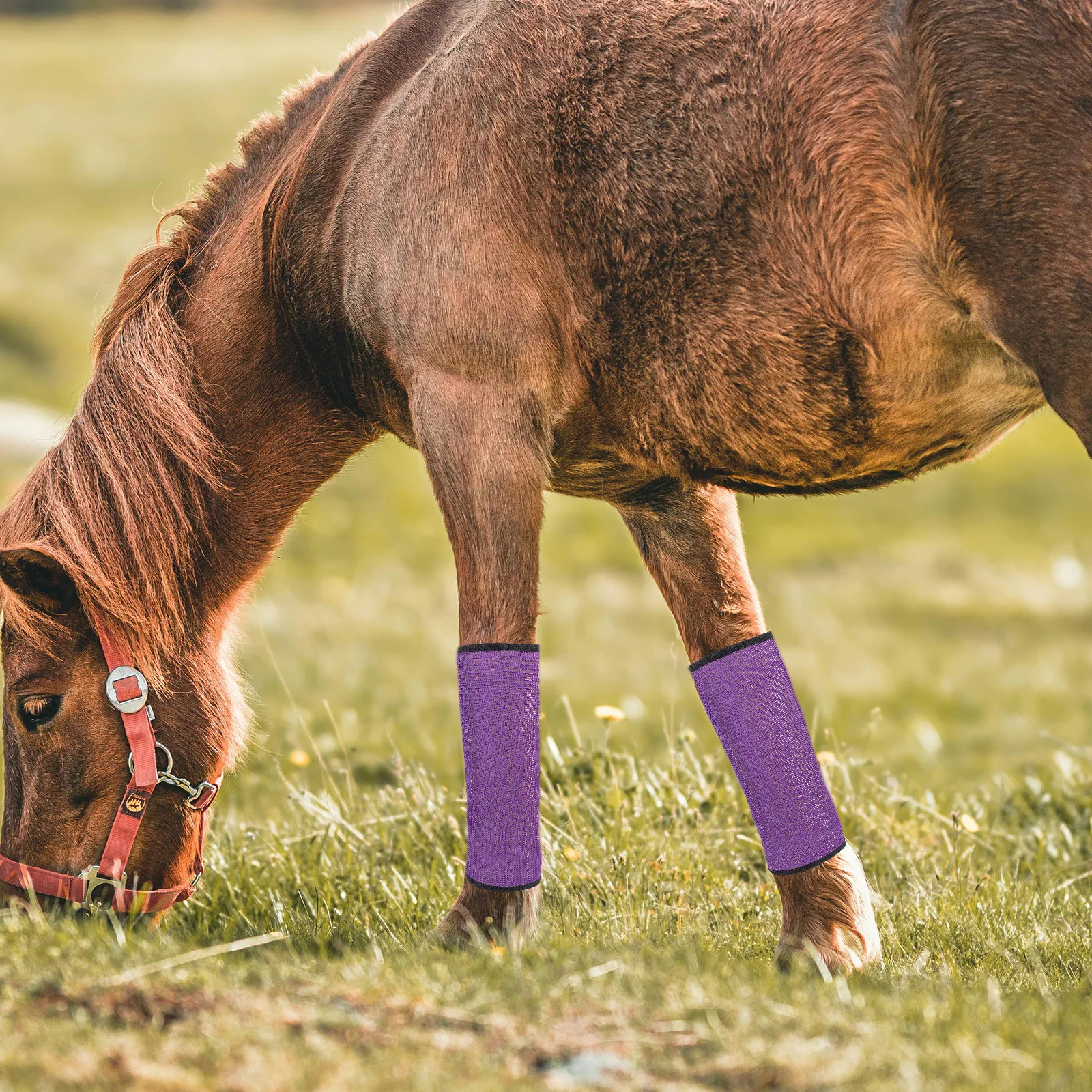 4 قطع من الأحذية القابلة لإعادة الاستخدام، واقيات الساق المقاومة للاهتراء، غطاء ساق الحصان المحمول، مستلزمات الحصان