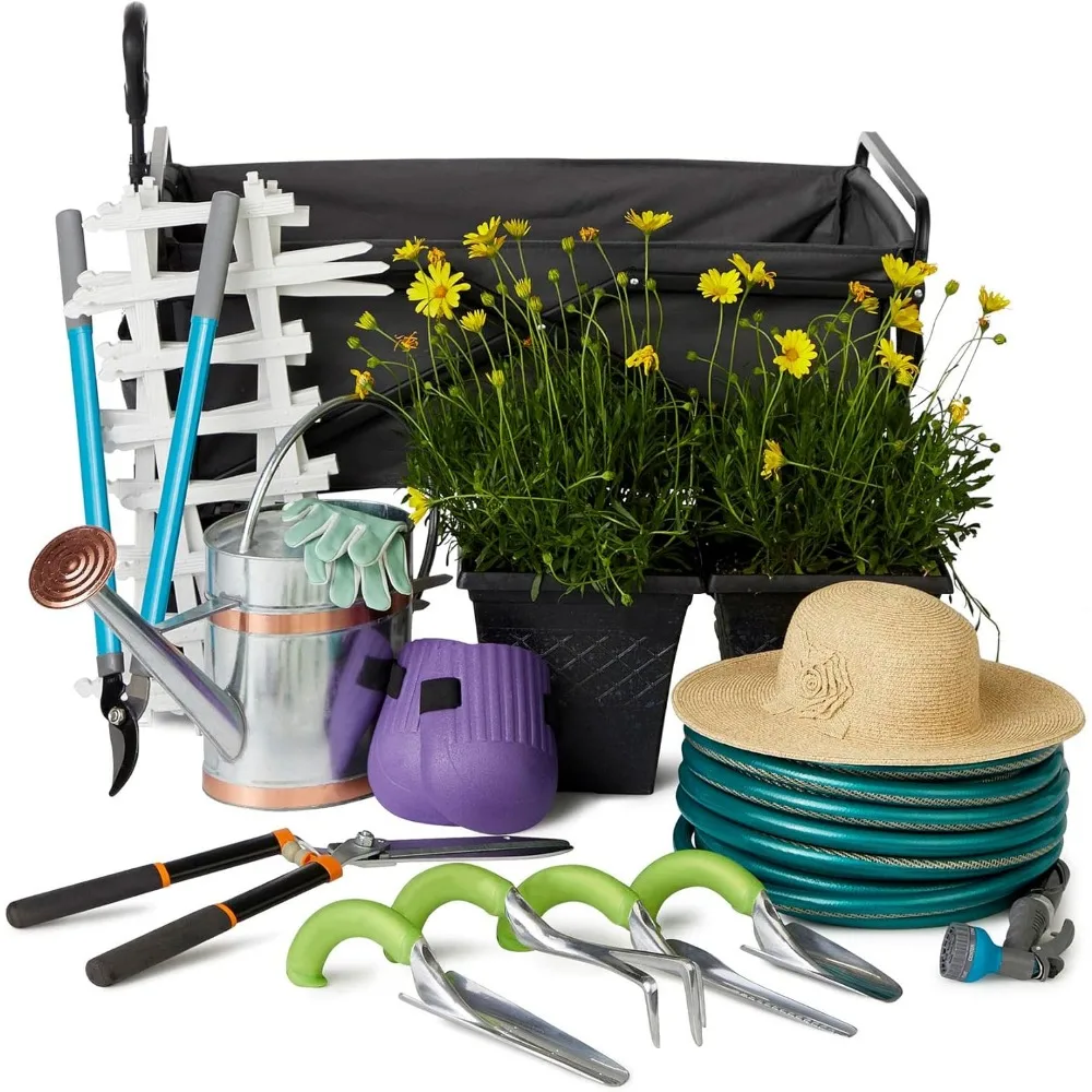 Carro de playa Grey Seina: vehículo utilitario al aire libre familiar para aventuras en la playa