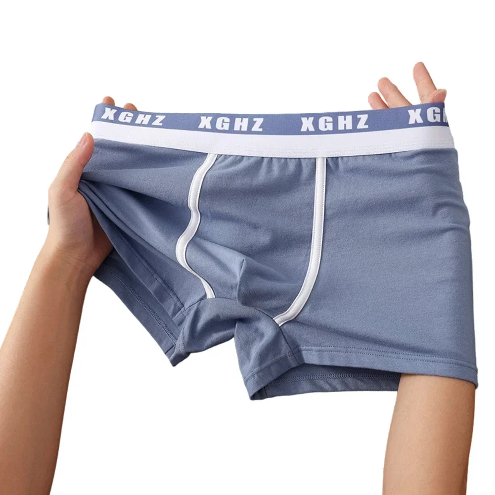 

Daily Wear Gym Use L Breathable Boxers Men's Breathable Trunk Underwear Boxers 5 Spandex Blend 95 Cotton Fabric