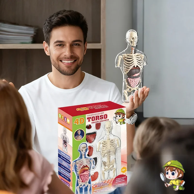 4D Transparent Human Torso Half Body Model for Kids - Anatomical Skeleton Teaching Learning Aid with Medical Internal Organs