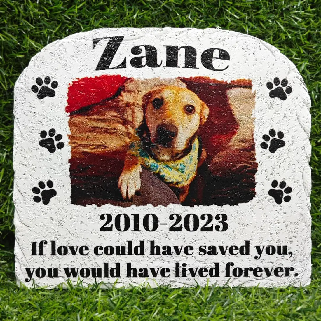 Personalized Pet Memorial Stones, Custom Cat/Dog Memorial Garden Stone with Photo, Lost Pet Sympathy Gifts for Someone (B)