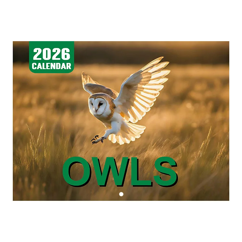 

2026 Owl Calendar 12 Months Full of natural vitality Personal Time Management Planner Offices Supplies Applicable To Office