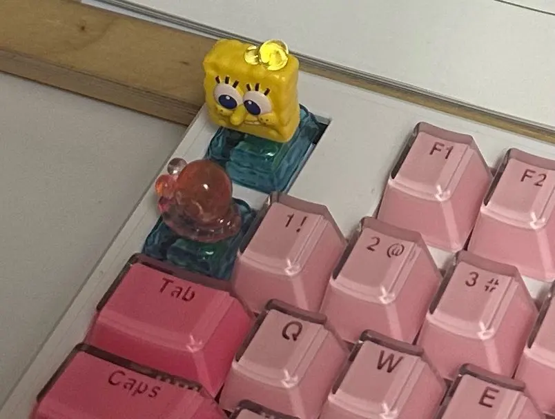 실물 포토 리뷰