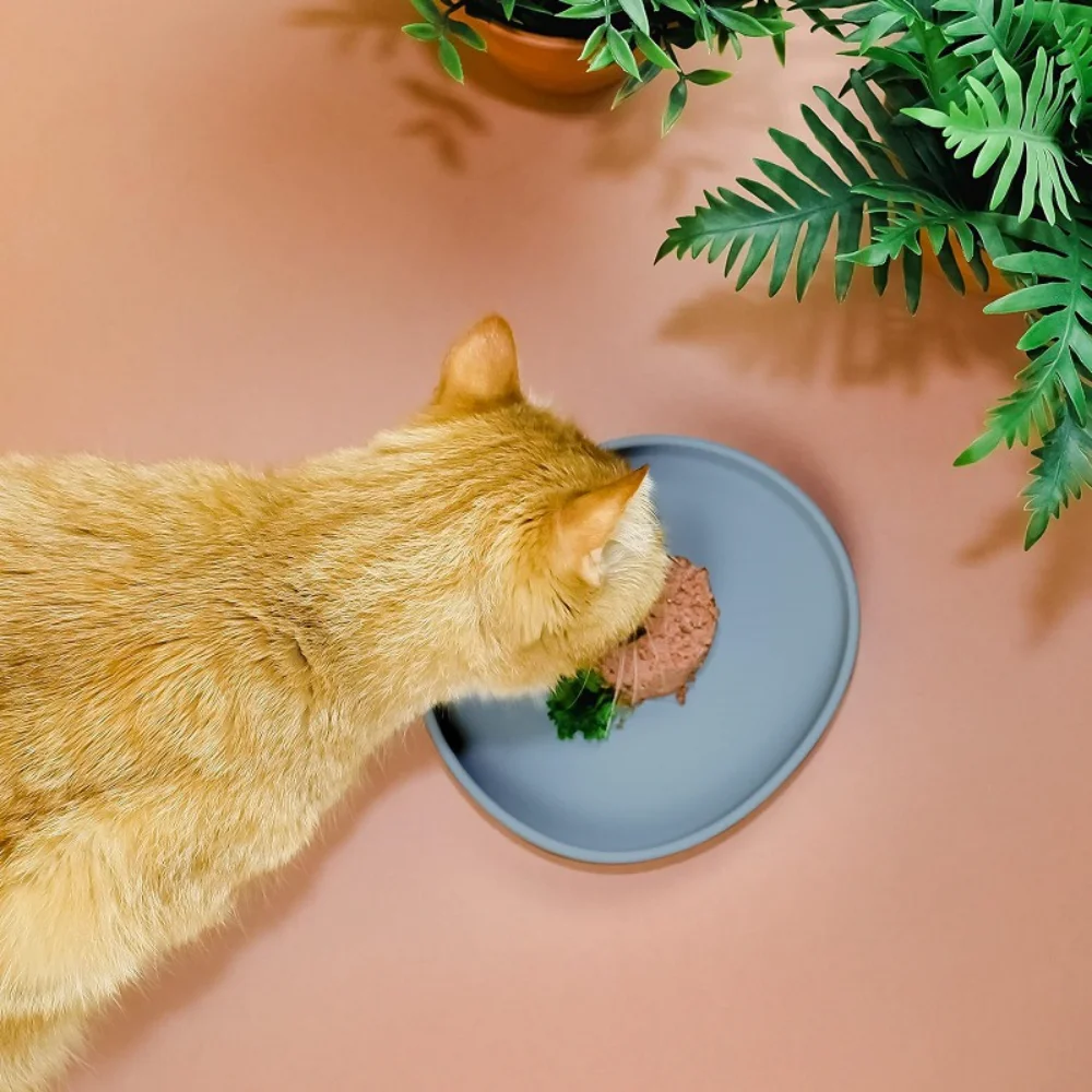 Thumbnail 4 - #22 Cheapest Collapsible Dog Bowls Deals You Can Get