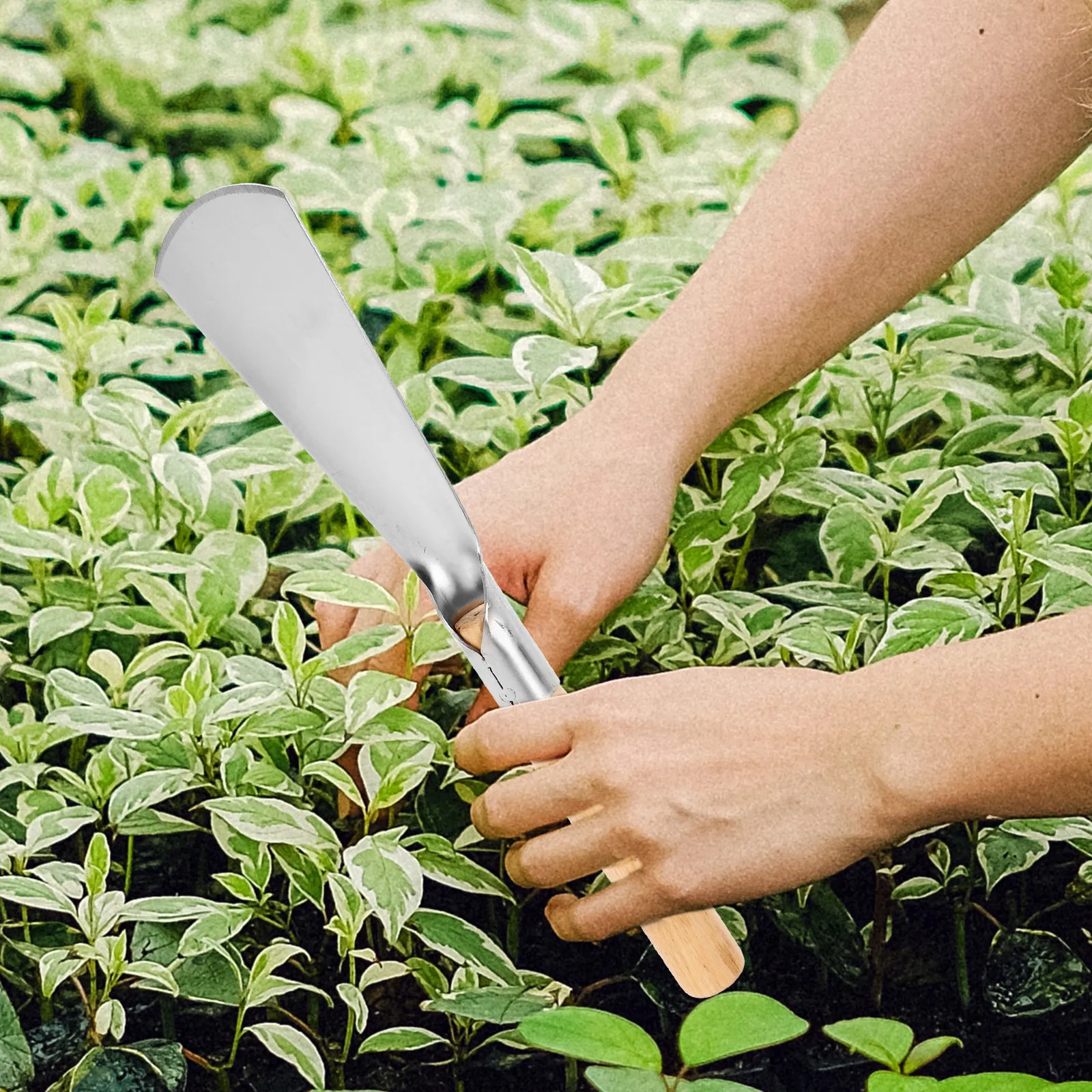 Handschep voor tuinieren, roes - Garden Hand Trowel recensie en prijs