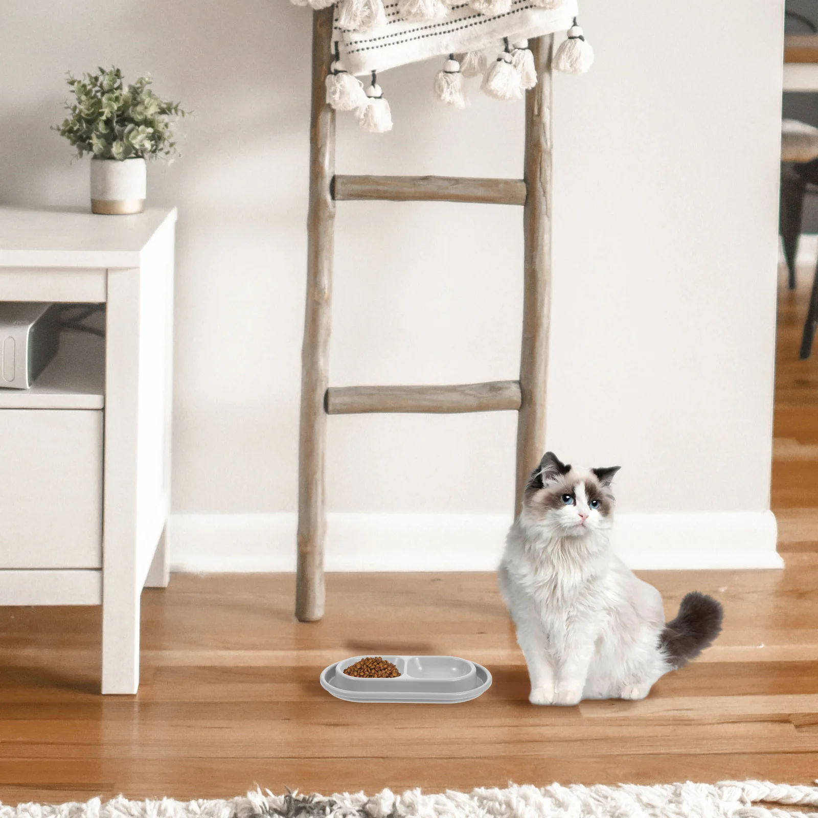 

Cat and Dog Food Water Bowl Set Gray Anti-Insect Double Pet Bowl for Small Medium Puppies Kittens Indoor Outdoor Use