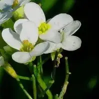 

48V 30Ah 30000mAh 18650 13S8P lithium battery pack large capacity suitable for 48V 250-1500W built-in BMS+54.6V2A charger