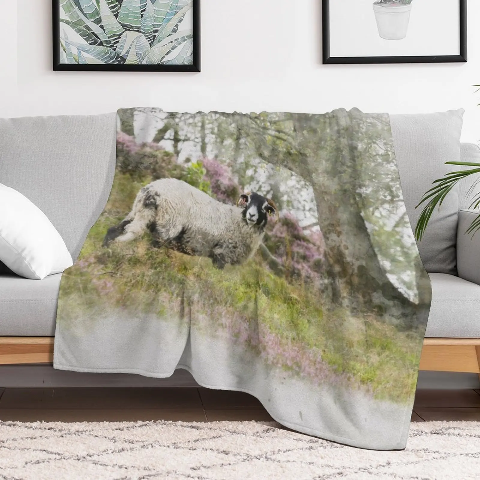 Swaledale Sheep on Stanton Moor Watercolour Photograph Throw Blanket For Baby Extra Large Throw Blankets