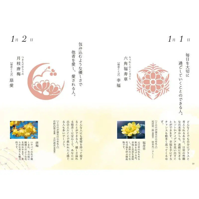 Hanashirube Techo Flower Pattern Planning Office Seigensha 9784861526398 Book