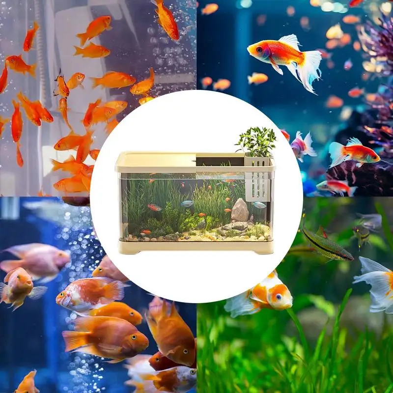 Small Aquarium Fish Tank Kit Creative Fish Aquarium With wall-mounted hydroponic planting basket desktop Ornament home decor