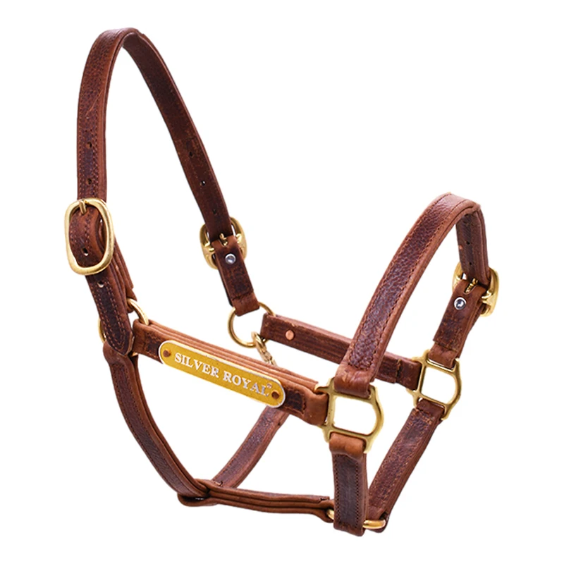 Wholesale High Quality Horse Headcollars Manufacturer, Horse Equipment Design Your Own Horse leather Halter