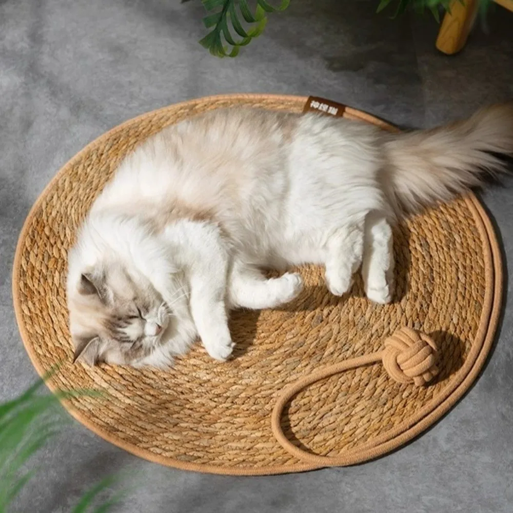 

Grinding Claw 40/50/60cm Cat Scratch Board Pad Weaving with Ball Cat Scratcher Bed Round Couch Cat Scratcher Four Seasons