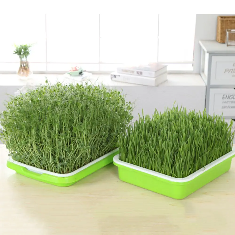 Outdoor Indoor Soilless Cultivation Hydroponic Tray Grow Nursery Pots Seed Sprouter Tray Sprout Pot Plant Box