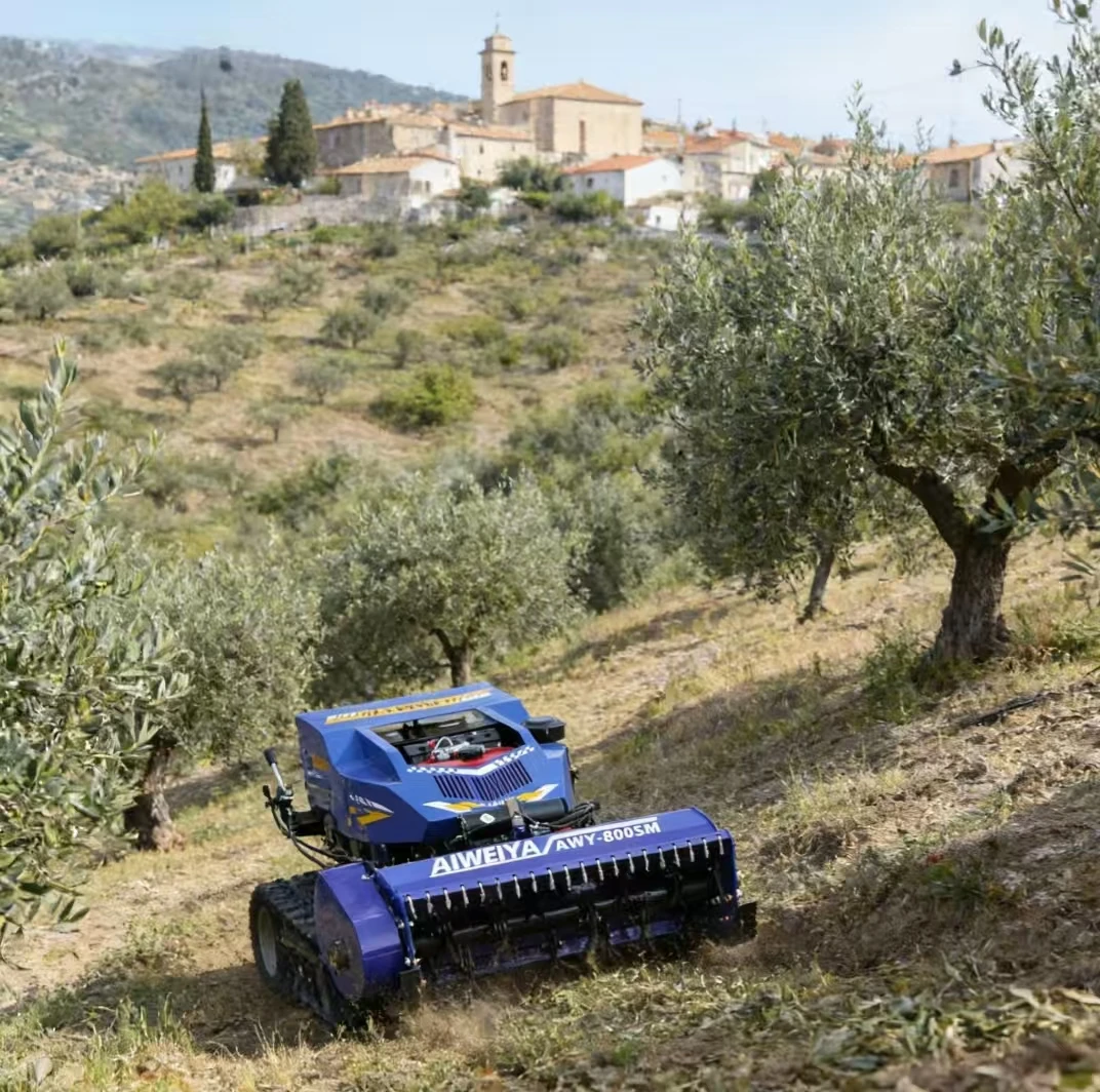 Customized Hot Sell…