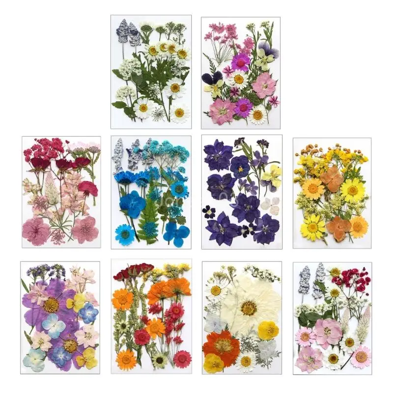 Q6PE Natural Pressed Dried Flower For Epoxy Resin Dry Flowers and Leaves Set for Soap Jewelry Making Scrapbooking