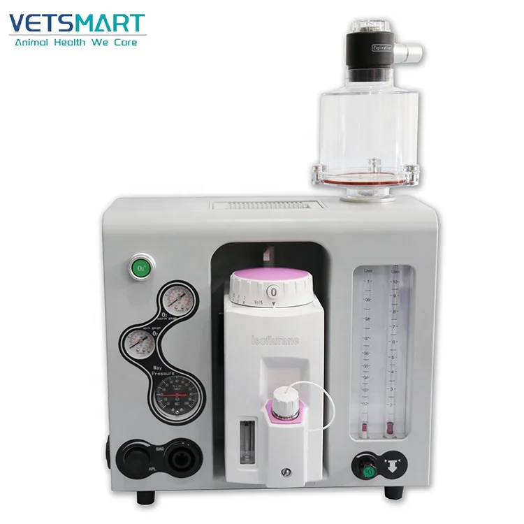 1500ML Volume Portable Anesthesia Machine For Animals Hospital Medical Usage With Ventilate And Trolley Optional