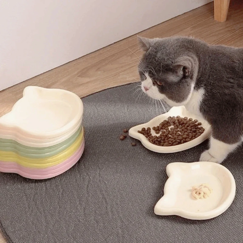 Premium Anti Spill Pet Bowl 6