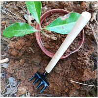3pcs Garden Hand Tool Set Mini Horticulture Tools For Planting Potted Succulent Plants Lightweight Easy Use Gardening Kit For