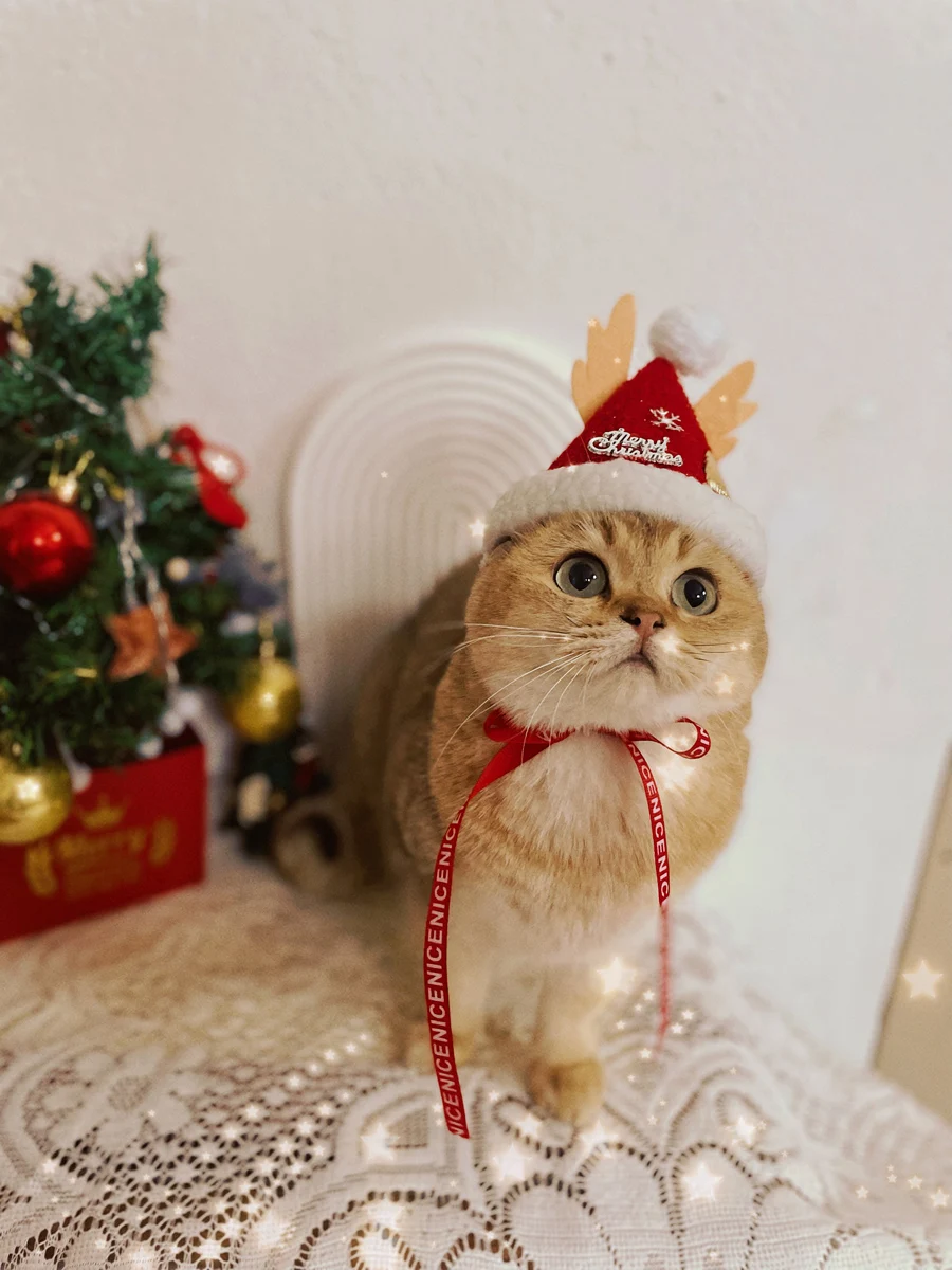 

Christmas Tree Hat Woolen Cap Cat Christmas Hat Santa Claus Dog Collar Decorations