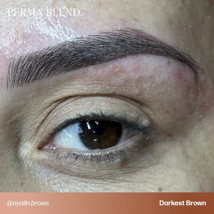 Perma Blend Pigmente Tattoo PMU Zubehör Tinte Espresso Braun Kaffee Beauty Custom Professionelle Lippen Augenbrauen Eyeliner Farbwechsel – Detail 4