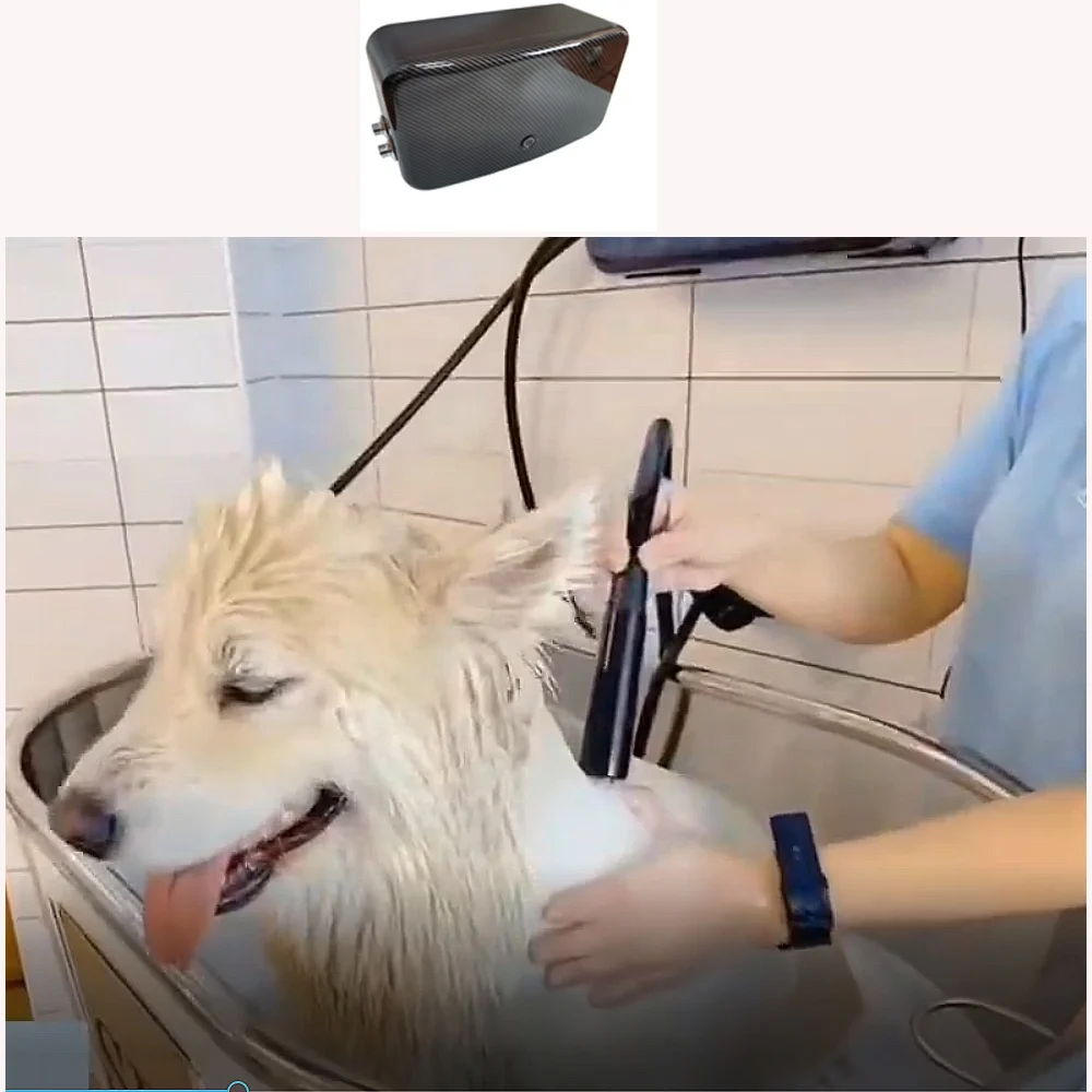

Spa Bath Freestanding Portable Micro/Nano Bubble System Modern ABS Pet Spa Dog Cat Bathing Soak
