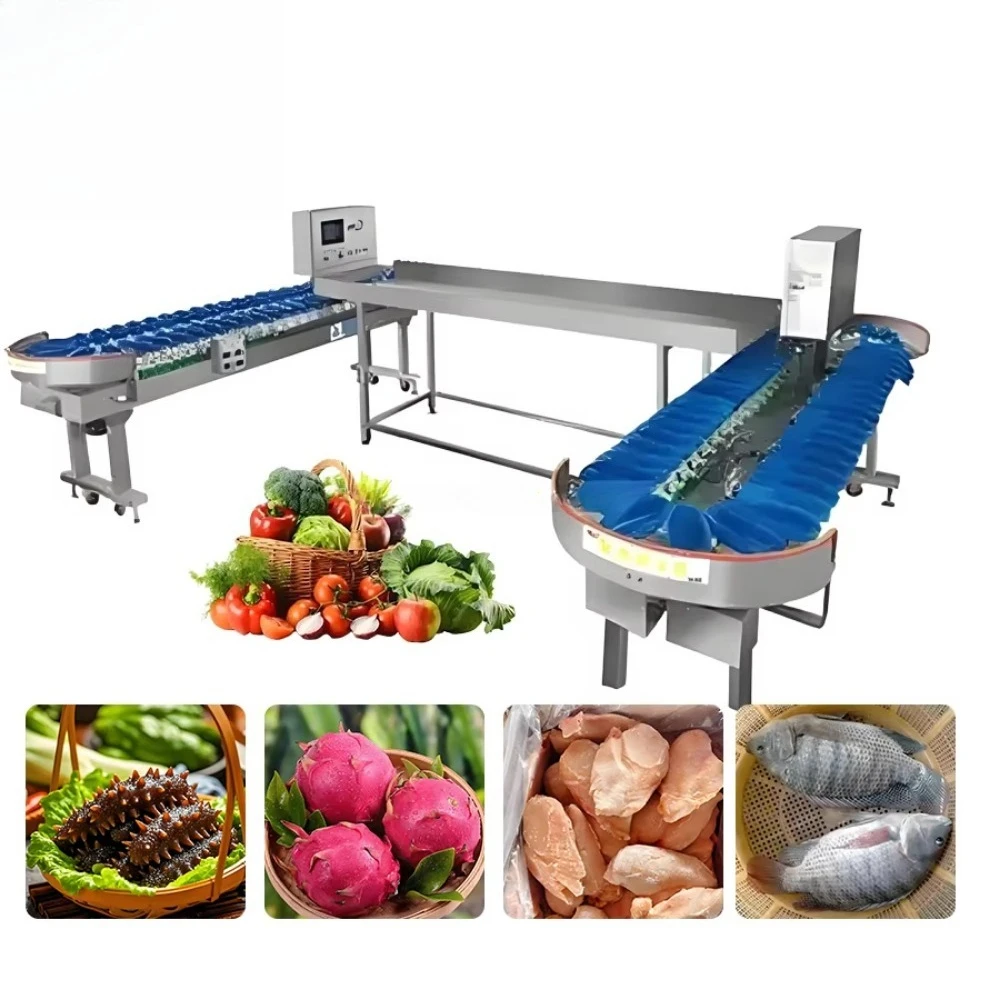 Full Automatic Weight Sorting Grader for Scallop Chicken Seafood Fruit & Vegetables with PLC