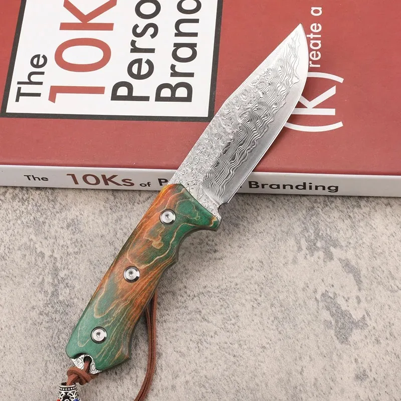 new-67-layer-forged-damascus-steel-survival-stable-hand-wooden-handle-camping-fixed-fruit-fishing-edc-cutting-tool