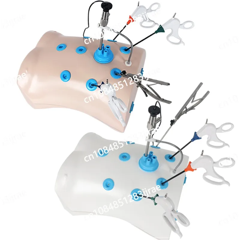 Simulated Training Equipment: Thoracoscopy Training Box, Biomimetic Single Hole Box