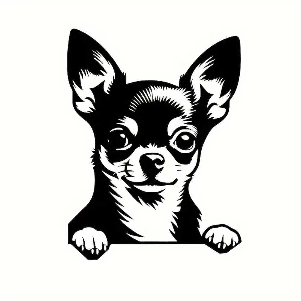 

Maxima Stickers Vinyl for Laptops Trucks and Wall Decorations Laptop Truck Decals Artistic Urban Style Durable Material
