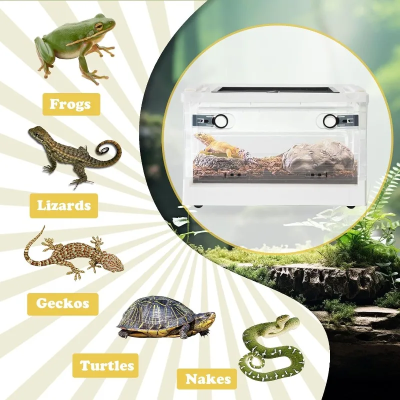 Plastic Reptile Feeding Box with Wheels 360 ° Panoramic View Suitable for Small Invertebrate Portable Transport Containers