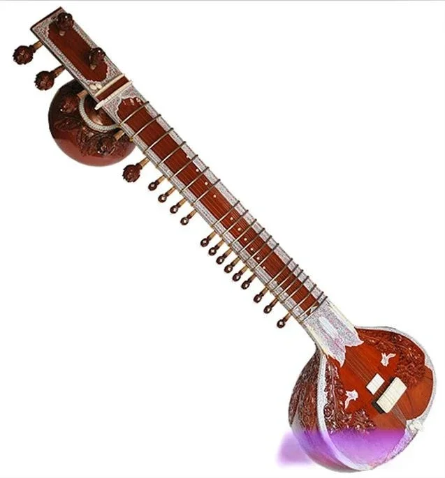 Musical instruments, sitar, sitar, professional hard case