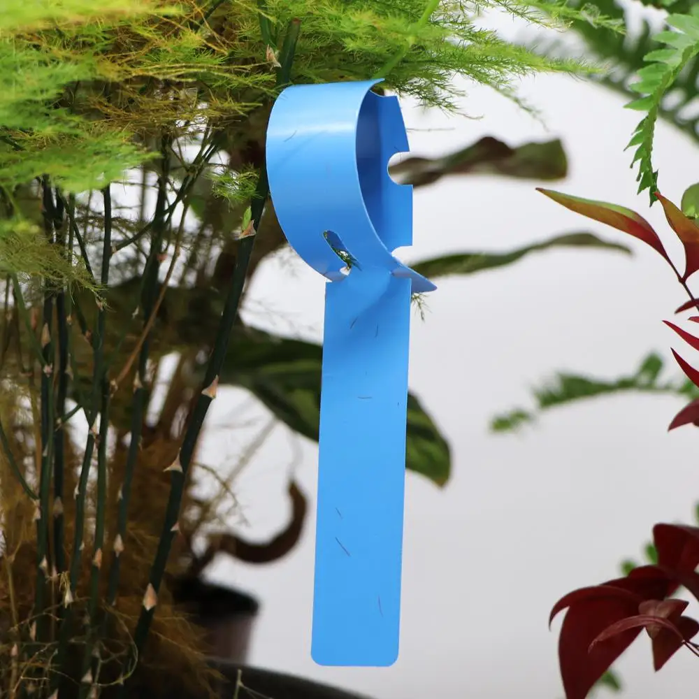 50-100PCS Garden Adjustable Buckle Plant Tag Potted Classification Hang Label Plastic Identification Card Reusable Waterproof