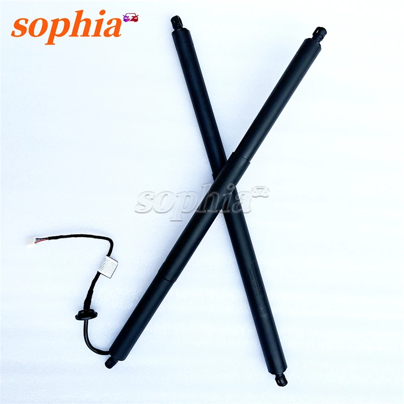 106566400B 112969800A Original Liftgate Gas Spring Electric Tailgate Support Rod for Tesla Model X 2015-2021 Bran