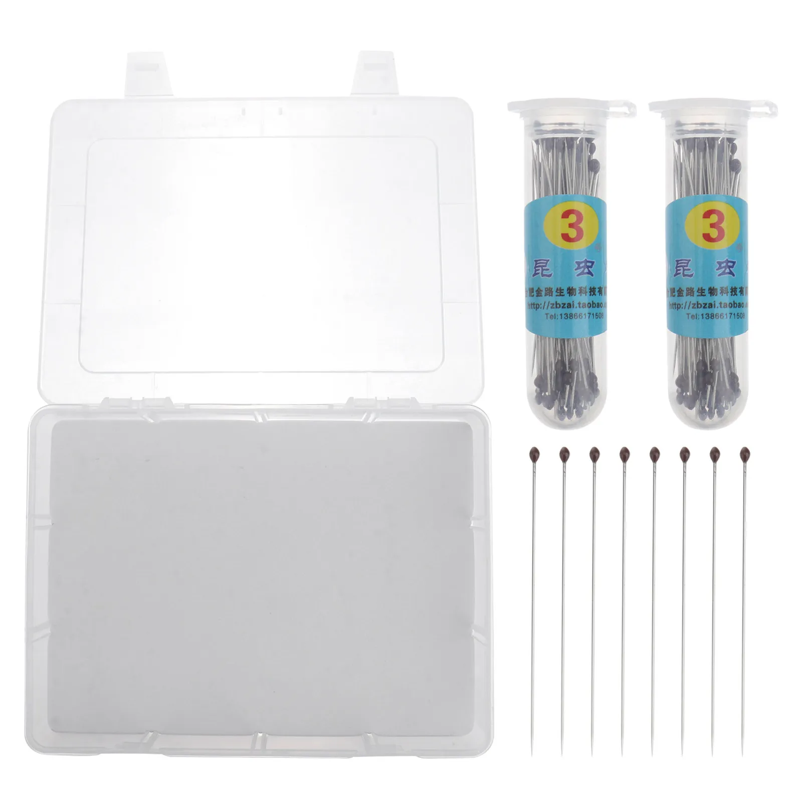 1Set Specimen Box Insect Display Kit Clear Plastic Display Case Specimen Collection Storage Box Multifunctional