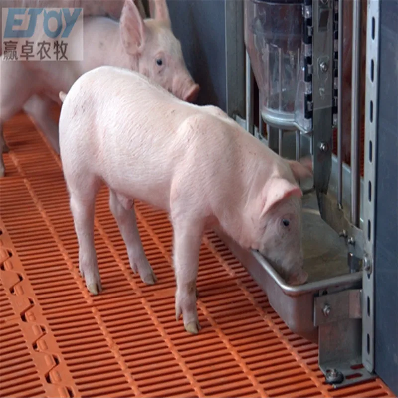 piggery equipment pig farm hot dip galvanized steel pipe sow gestation cage gestation crates for pig