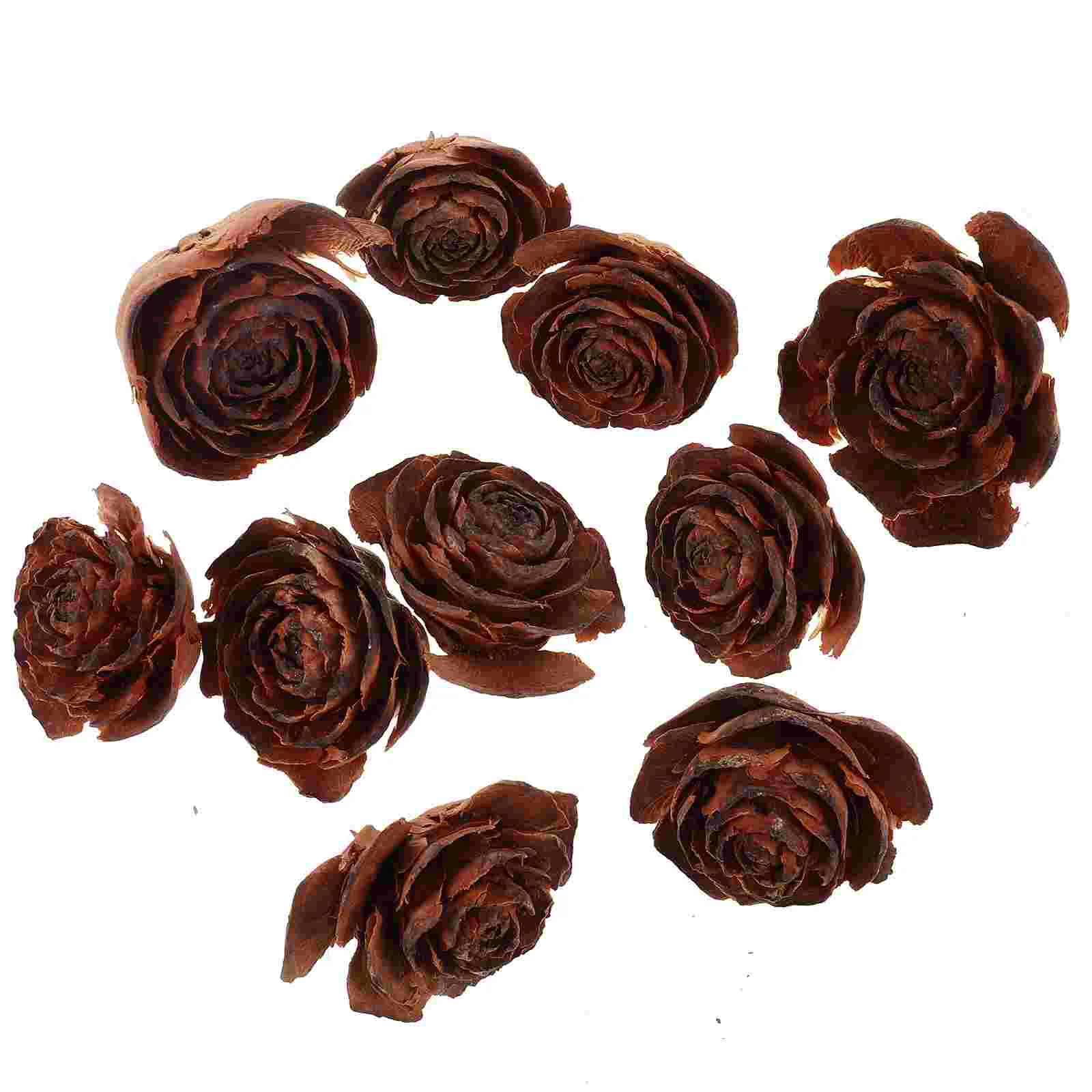 10 Pcs Pine Cone Natural Dried Flowers Fruit Herbarium Specimen Photo Frame Decoration Preserved (10pcs) Crafting Supplies Dry