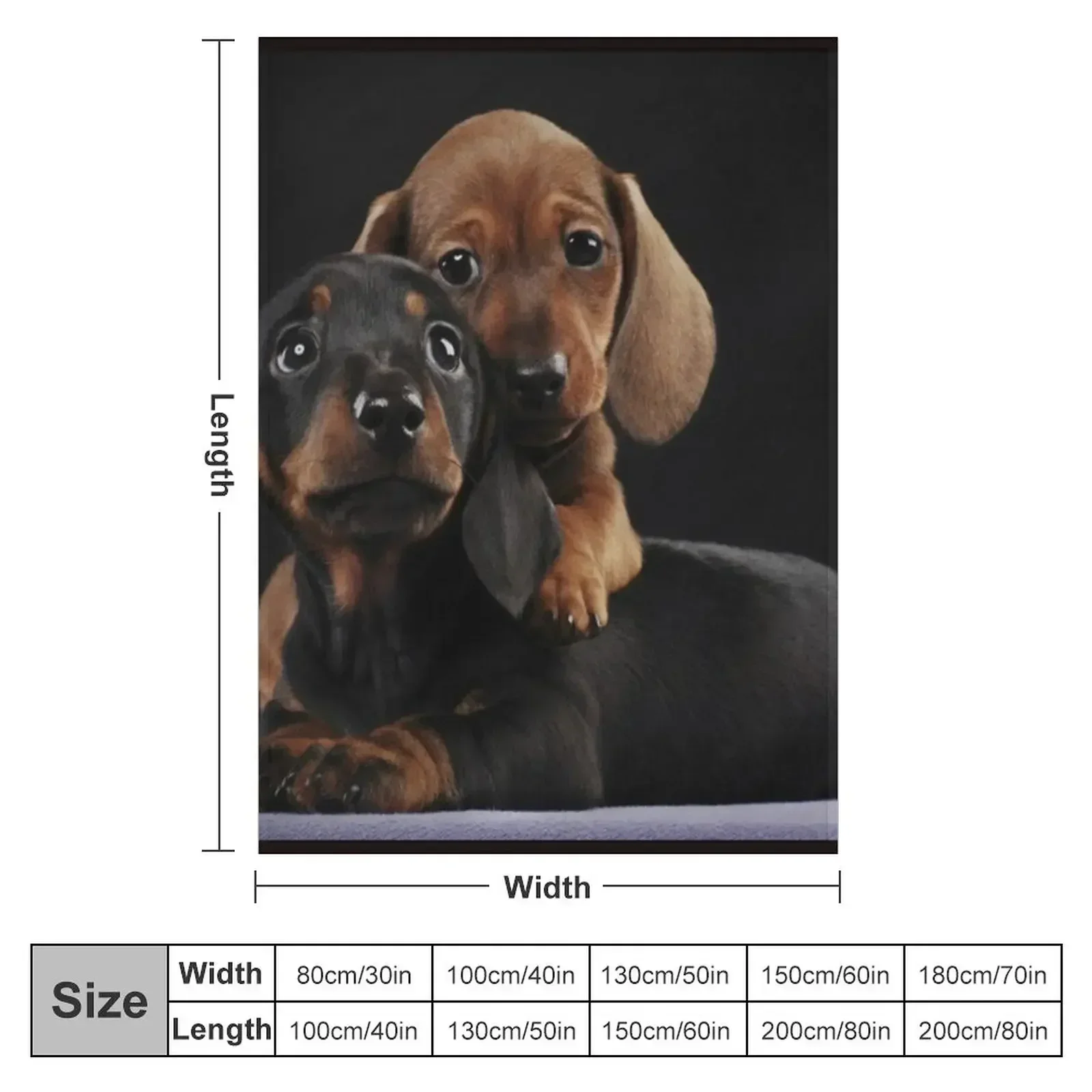 Dachshund Dog portrait photo pupies Throw Blanket Warm heavy to sleep Blankets